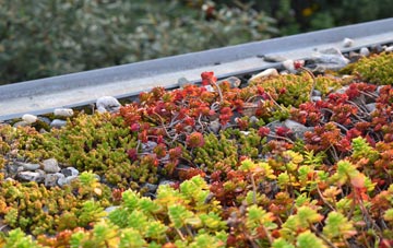 the cost of Mansfield Woodhouse green roof installation