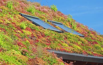 Mansfield Woodhouse living roof systems