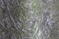 Mansfield Woodhouse fibreglass roof work